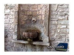 GUARDA IL VIDEO